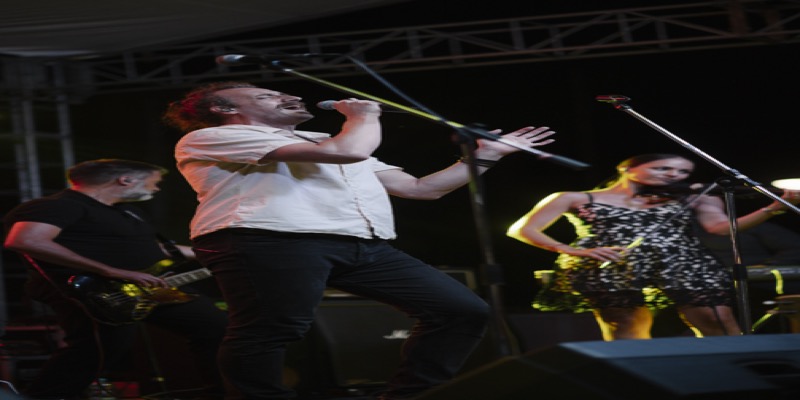 Pop star concert performance