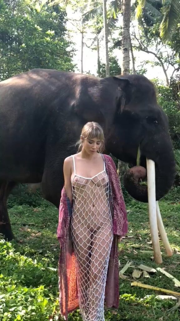 Seductive traveler Sara Jean Underwood poses almost naked next to an elephant gallery, pic 2