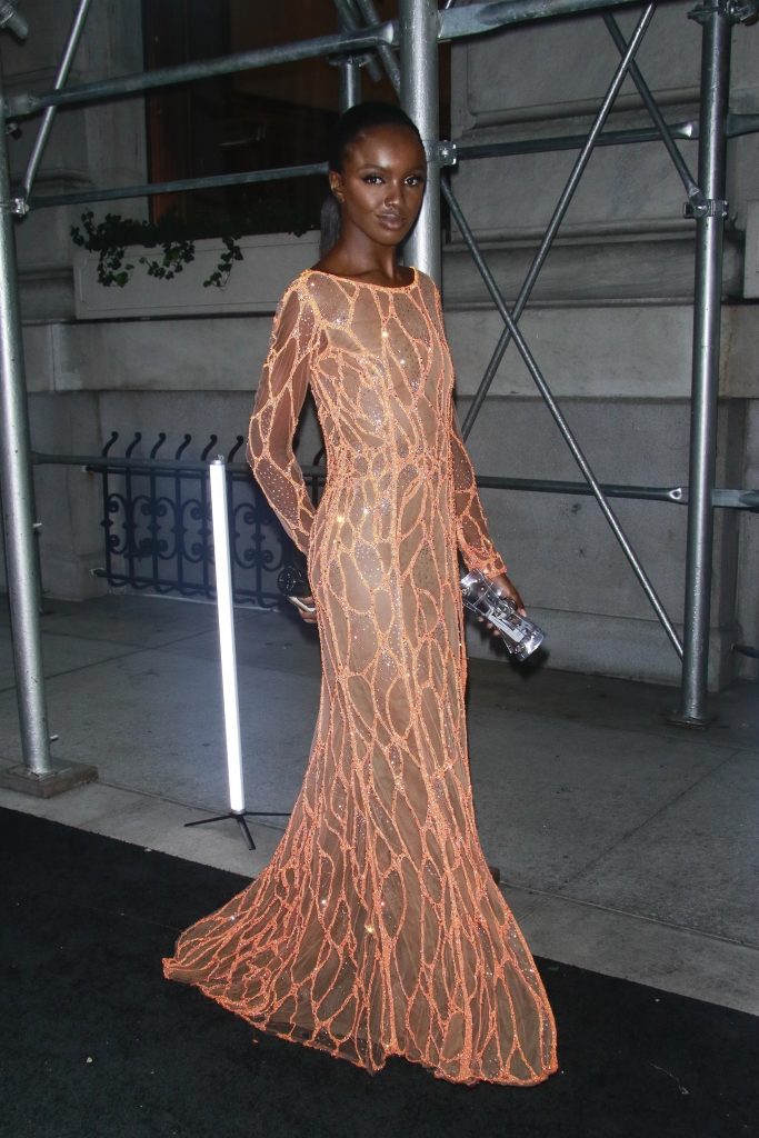 Leomie Anderson shows EVERYTHING in her sexy see-through dress gallery, pic 20