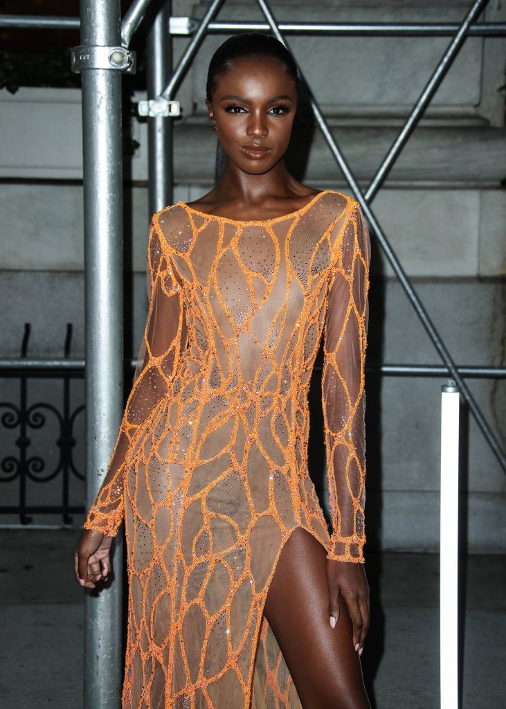 Leomie Anderson shows EVERYTHING in her sexy see-through dress gallery, pic 24