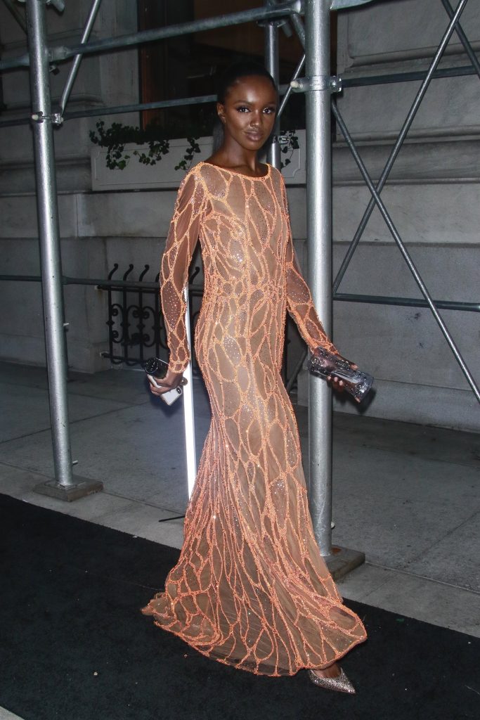 Leomie Anderson shows EVERYTHING in her sexy see-through dress gallery, pic 60