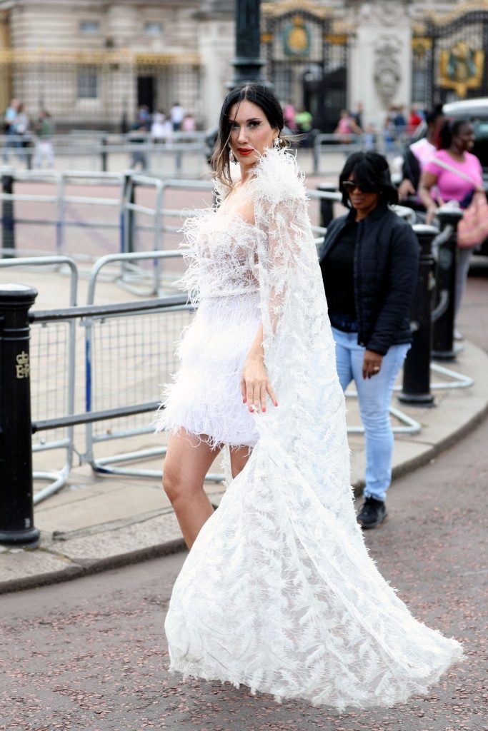 Brunette Bombshell Reine Sabty Posing in a See-Through Dress gallery, pic 4