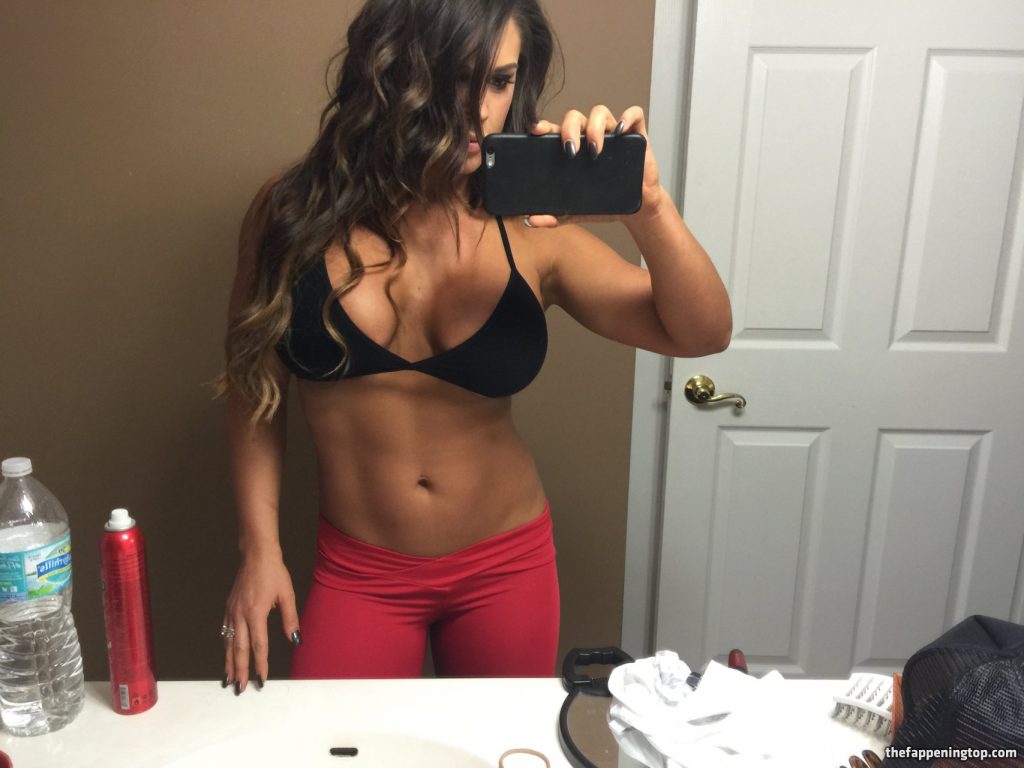 Huge Fappening Collection Featuring WWE’s Kaitlyn  gallery, pic 364