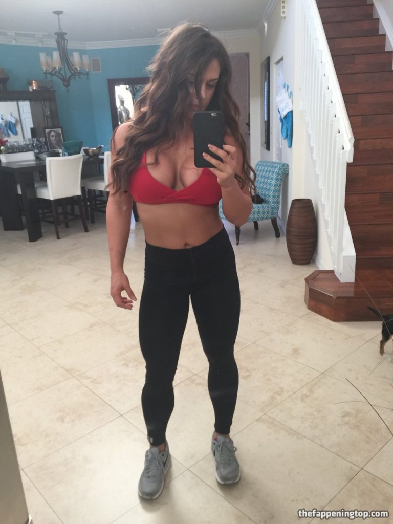 Huge Fappening Collection Featuring WWE’s Kaitlyn  gallery, pic 224