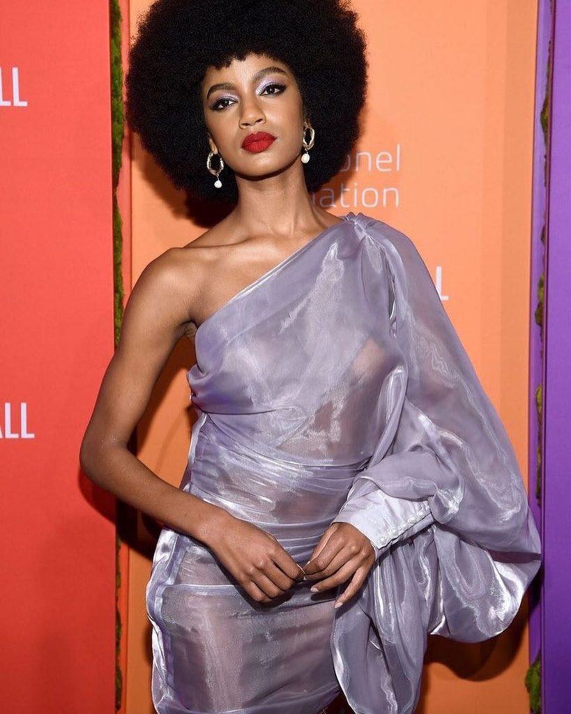 Afro-Sporting Hottie Ebonee Davis Looks Awesome in a Transparent Dress gallery, pic 30