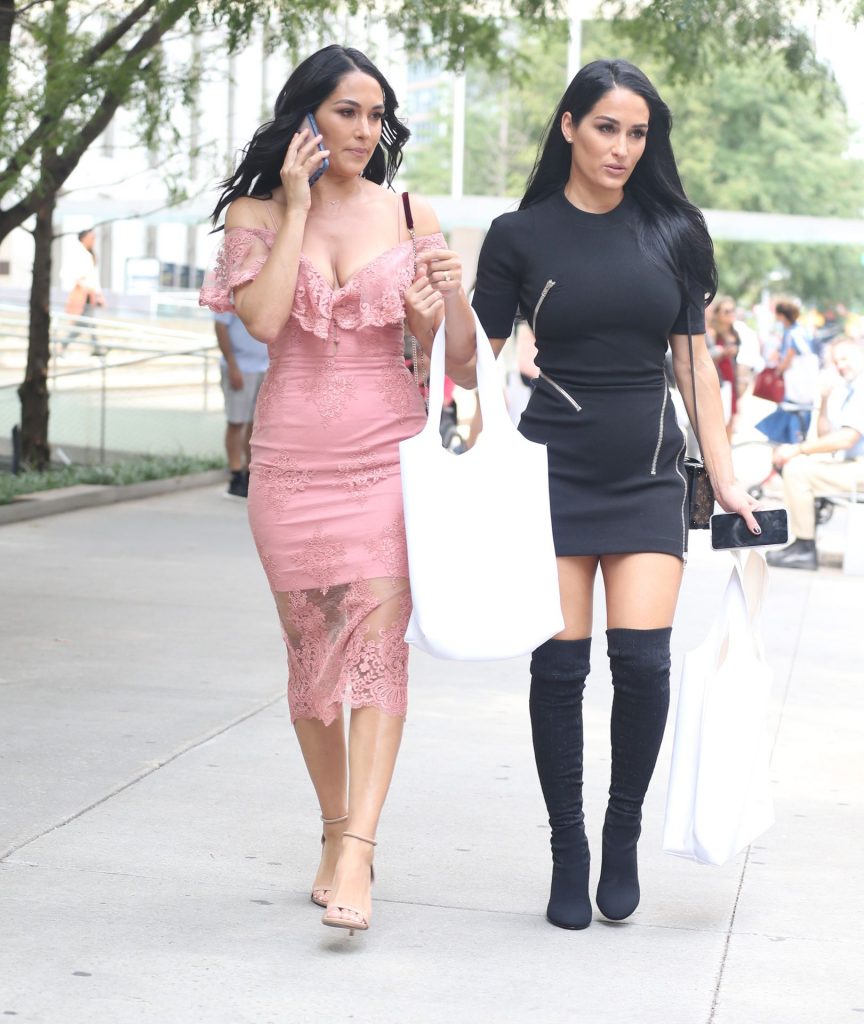 The Bella Twins (Brie Bella and Nikki Bella) Looking Hot as Hell gallery, pic 206