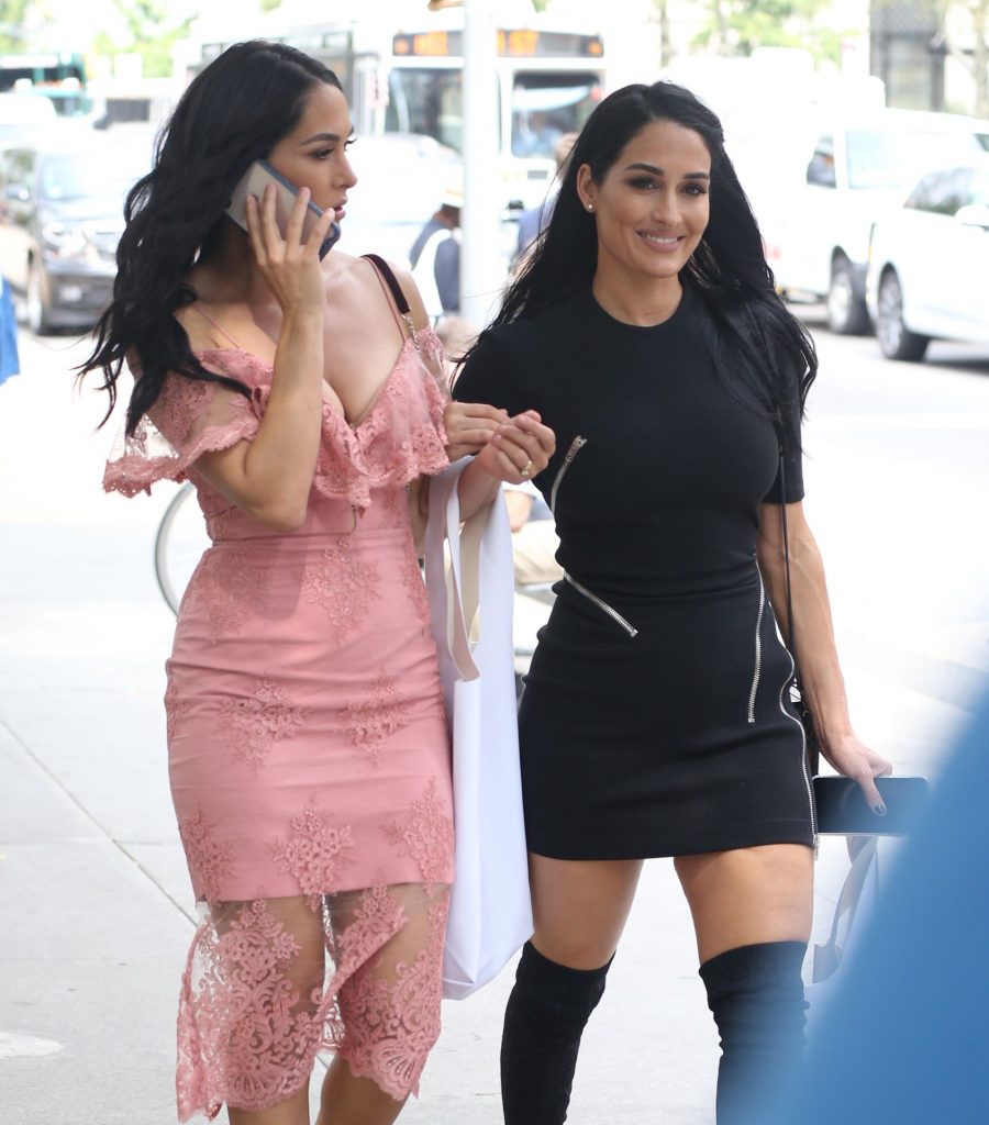 The Bella Twins (Brie Bella and Nikki Bella) Looking Hot as Hell gallery, pic 208