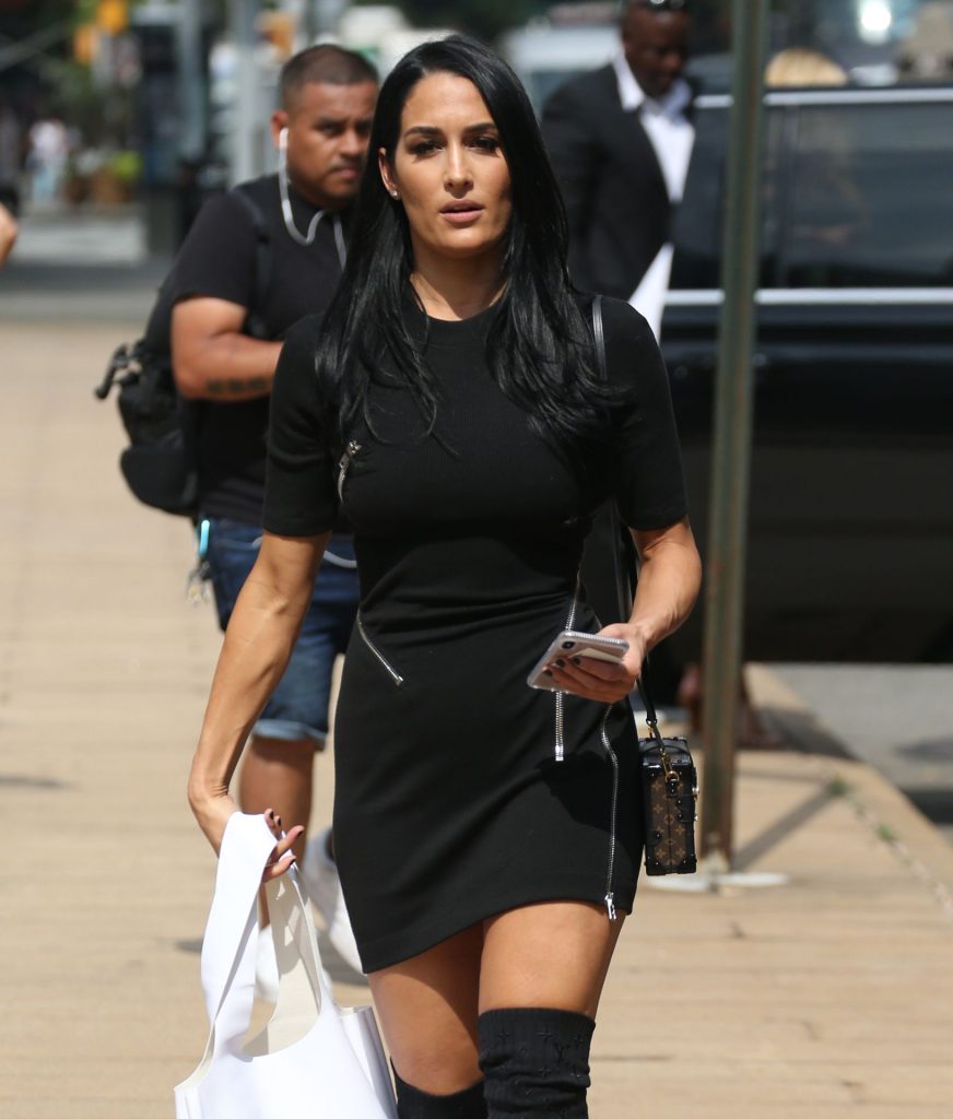 The Bella Twins (Brie Bella and Nikki Bella) Looking Hot as Hell gallery, pic 262