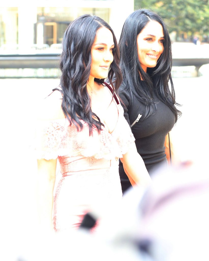 The Bella Twins (Brie Bella and Nikki Bella) Looking Hot as Hell gallery, pic 274