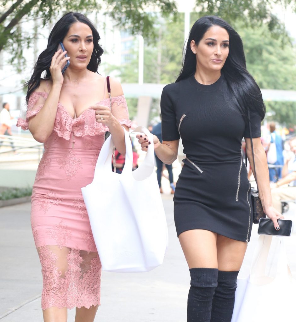 The Bella Twins (Brie Bella and Nikki Bella) Looking Hot as Hell gallery, pic 30