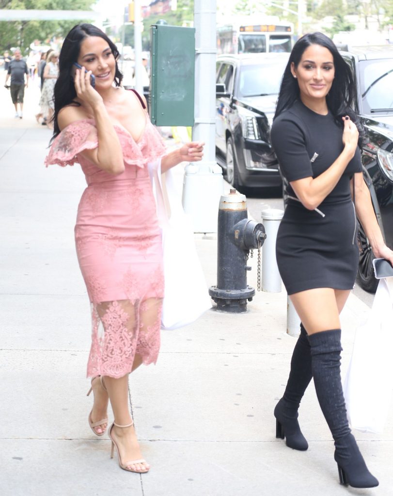 The Bella Twins (Brie Bella and Nikki Bella) Looking Hot as Hell gallery, pic 192