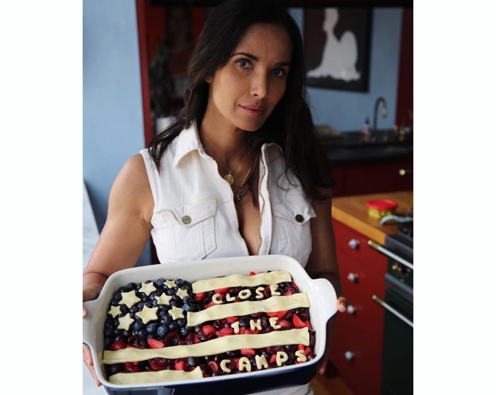 Collection of the Hottest Padma Lakshmi Pictures from Instagram gallery, pic 138