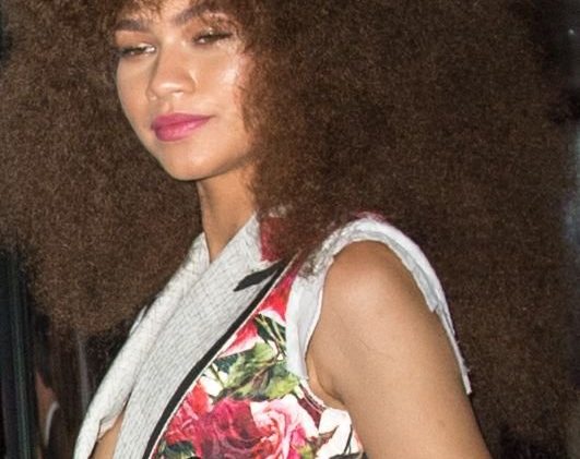 Frizzy-Haired Hottie Zendaya Showing Her Nipple in High Quality