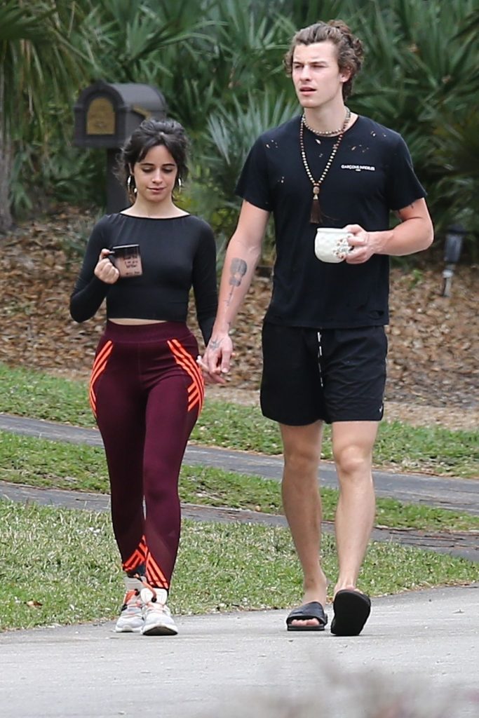 Camila Cabello Shows Her Hard Pokies During a Morning Walk gallery, pic 2
