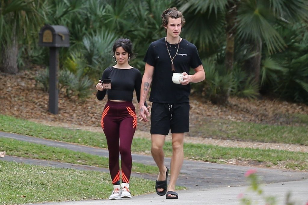Camila Cabello Shows Her Hard Pokies During a Morning Walk gallery, pic 20
