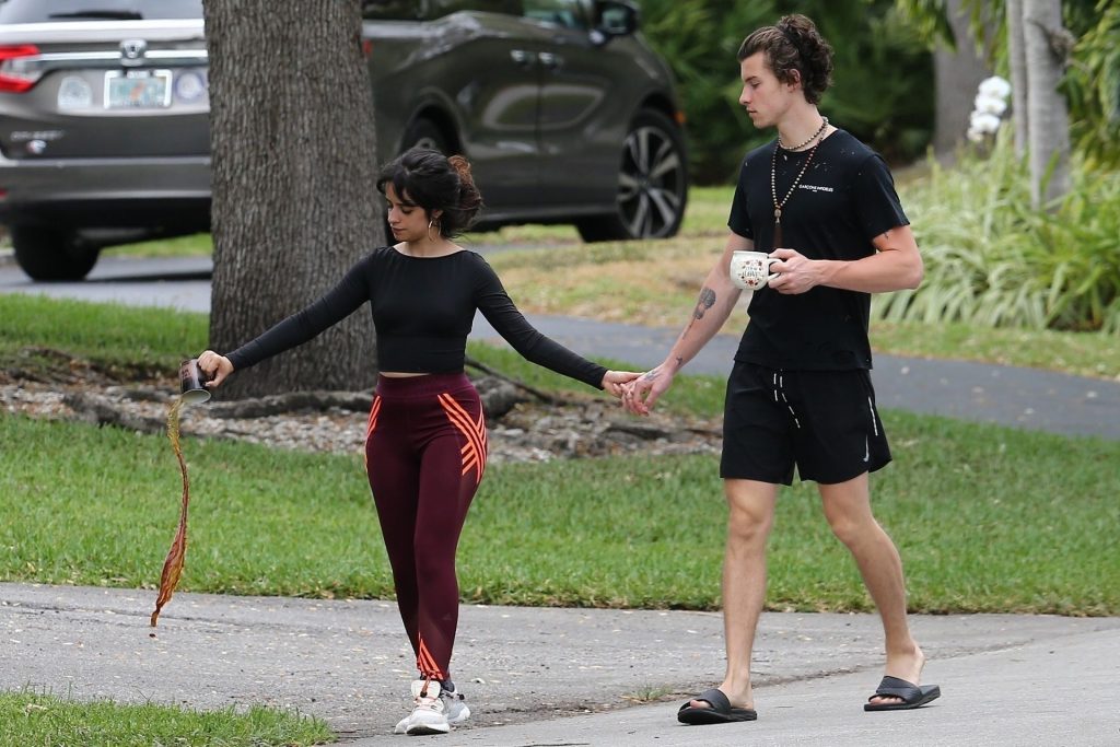 Camila Cabello Shows Her Hard Pokies During a Morning Walk gallery, pic 22