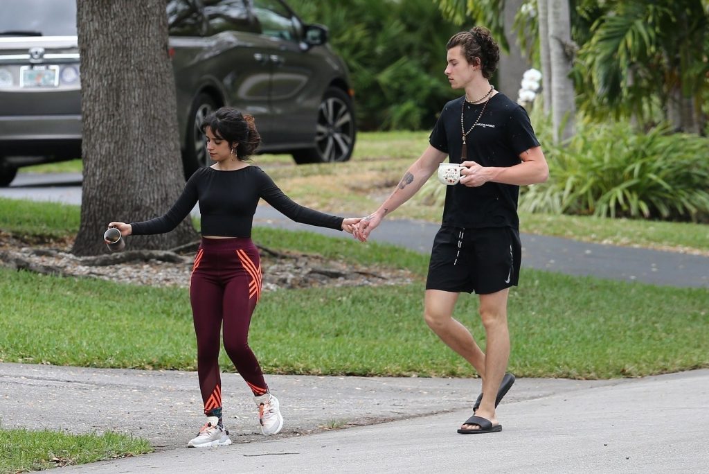 Camila Cabello Shows Her Hard Pokies During a Morning Walk gallery, pic 26