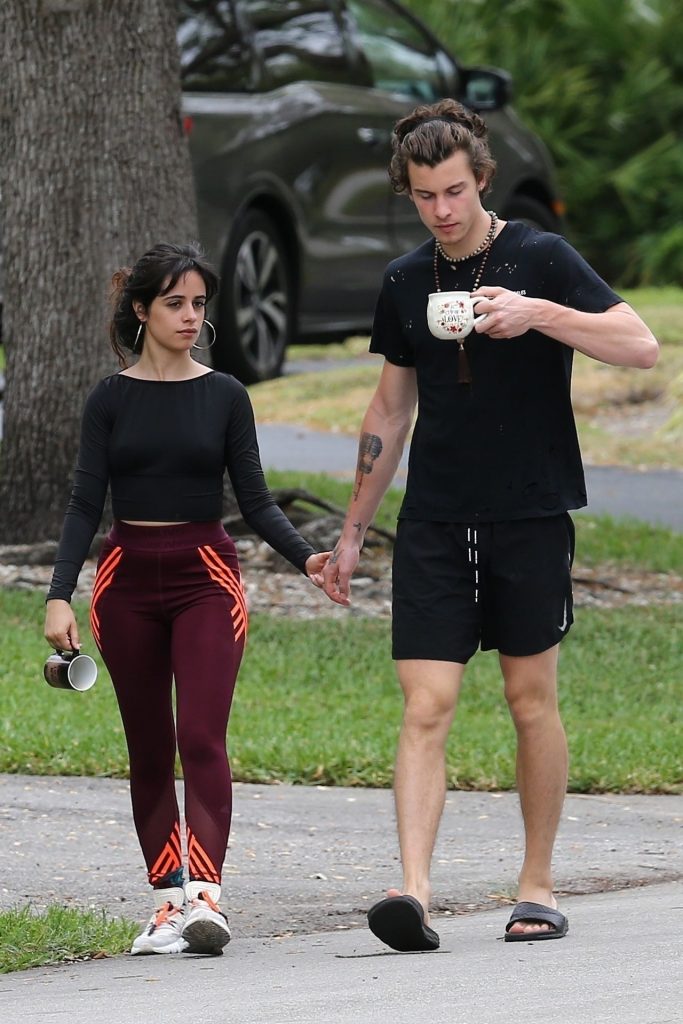 Camila Cabello Shows Her Hard Pokies During a Morning Walk gallery, pic 28