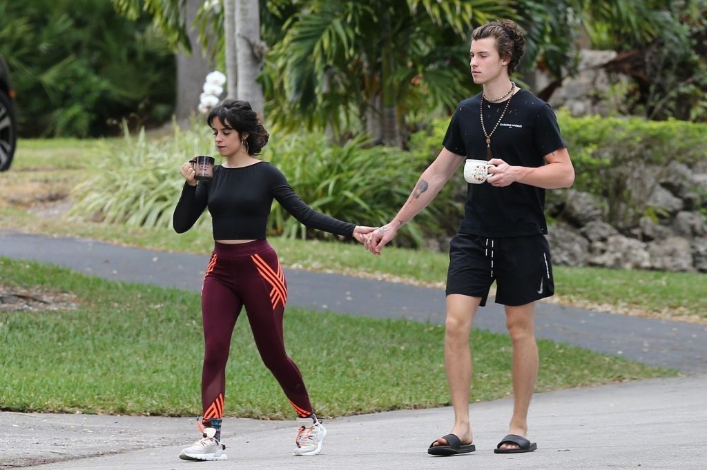 Camila Cabello Shows Her Hard Pokies During a Morning Walk gallery, pic 30