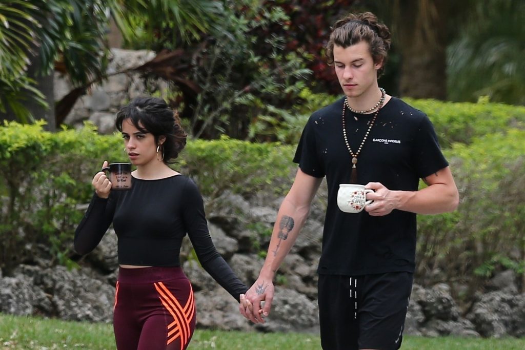 Camila Cabello Shows Her Hard Pokies During a Morning Walk gallery, pic 32