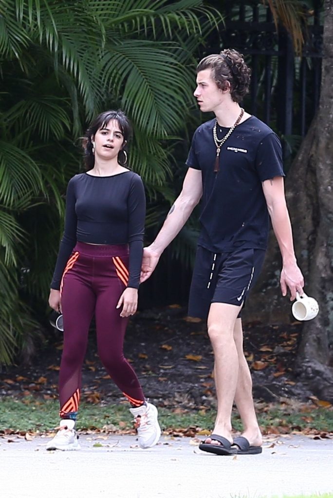Camila Cabello Shows Her Hard Pokies During a Morning Walk gallery, pic 4