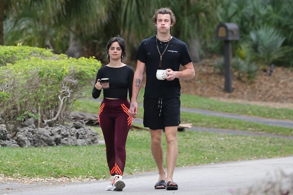 Camila Cabello Shows Her Hard Pokies During a Morning Walk gallery, pic 44