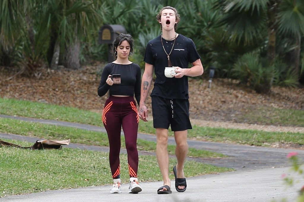 Camila Cabello Shows Her Hard Pokies During a Morning Walk gallery, pic 54