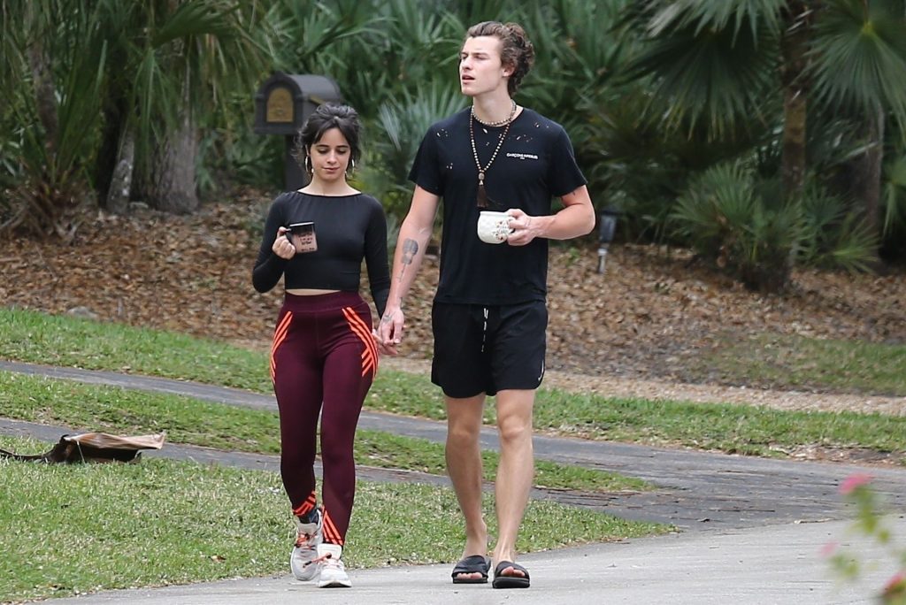 Camila Cabello Shows Her Hard Pokies During a Morning Walk gallery, pic 60