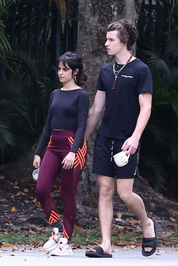 Camila Cabello Shows Her Hard Pokies During a Morning Walk gallery, pic 62