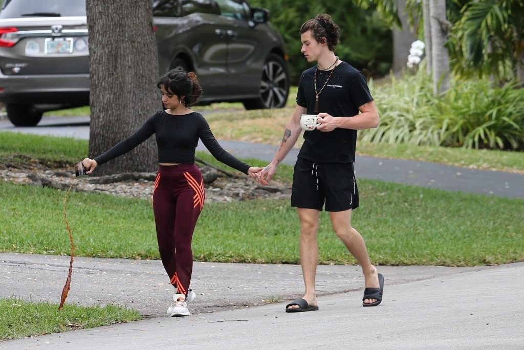 Camila Cabello Shows Her Hard Pokies During a Morning Walk gallery, pic 18