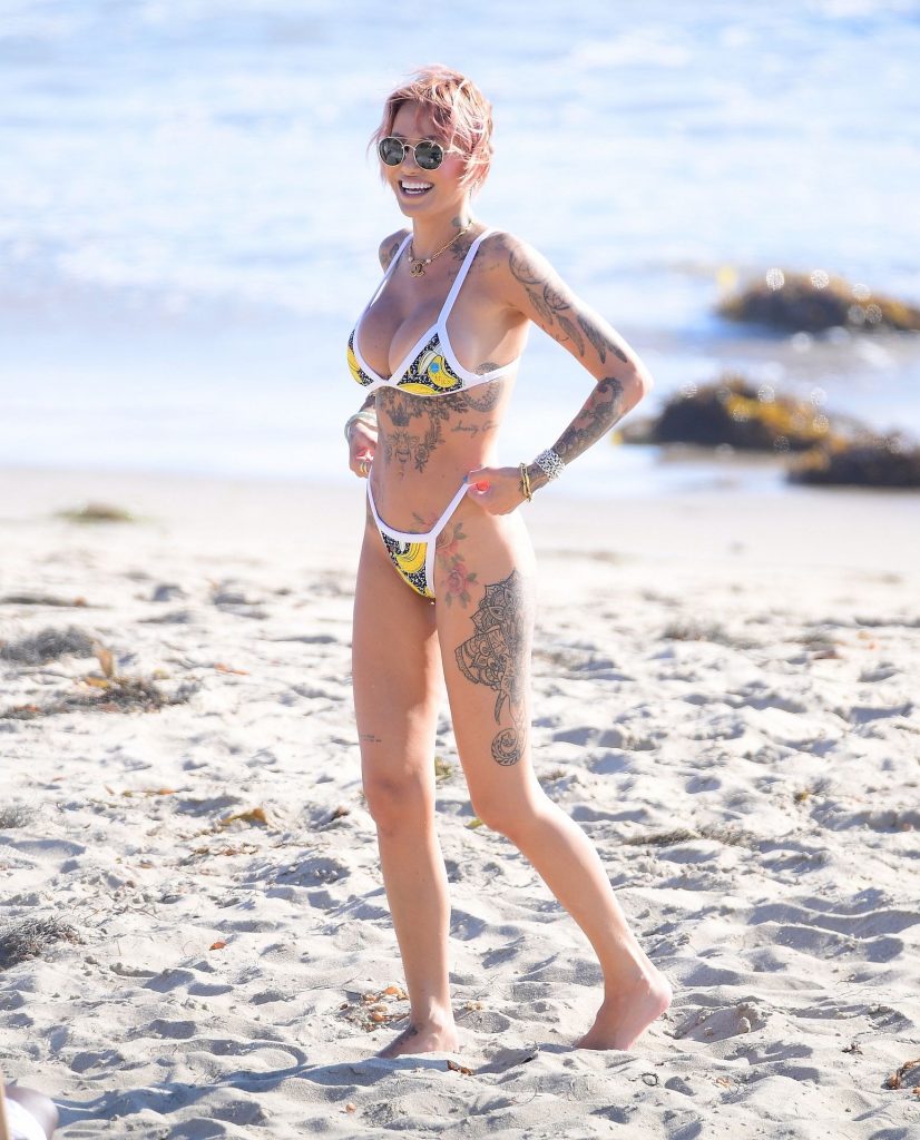 Busty Babe Tina Louise Showing Her Bikini Body During a Walk - The Fappening!