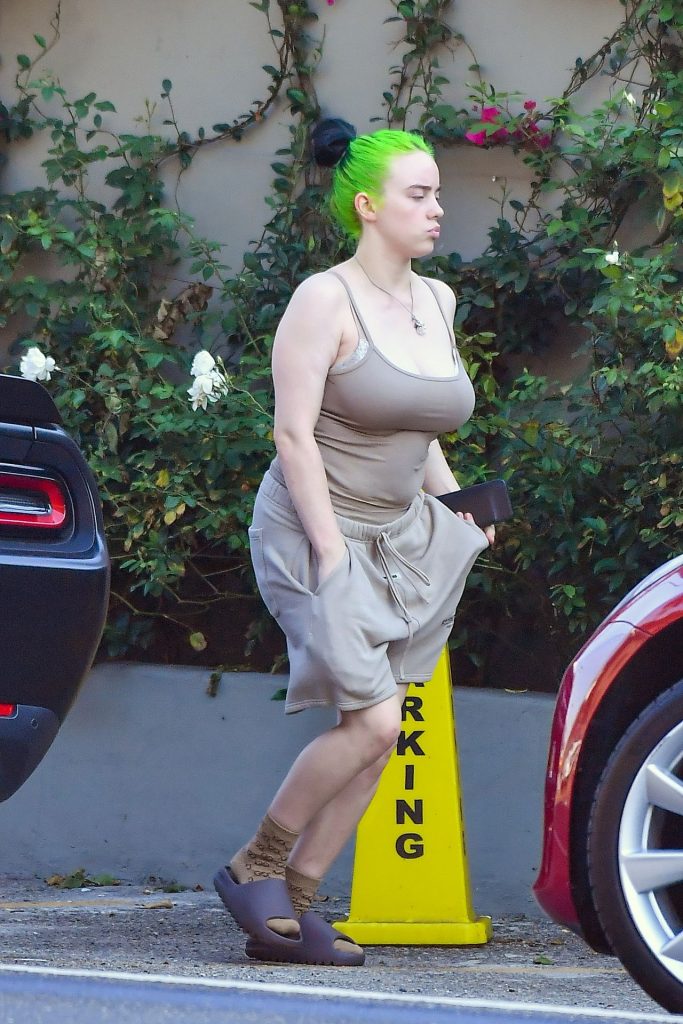 Thick Young Babe Billie Eilish Showing Her Ginormous Rack in HQ gallery, pic 4