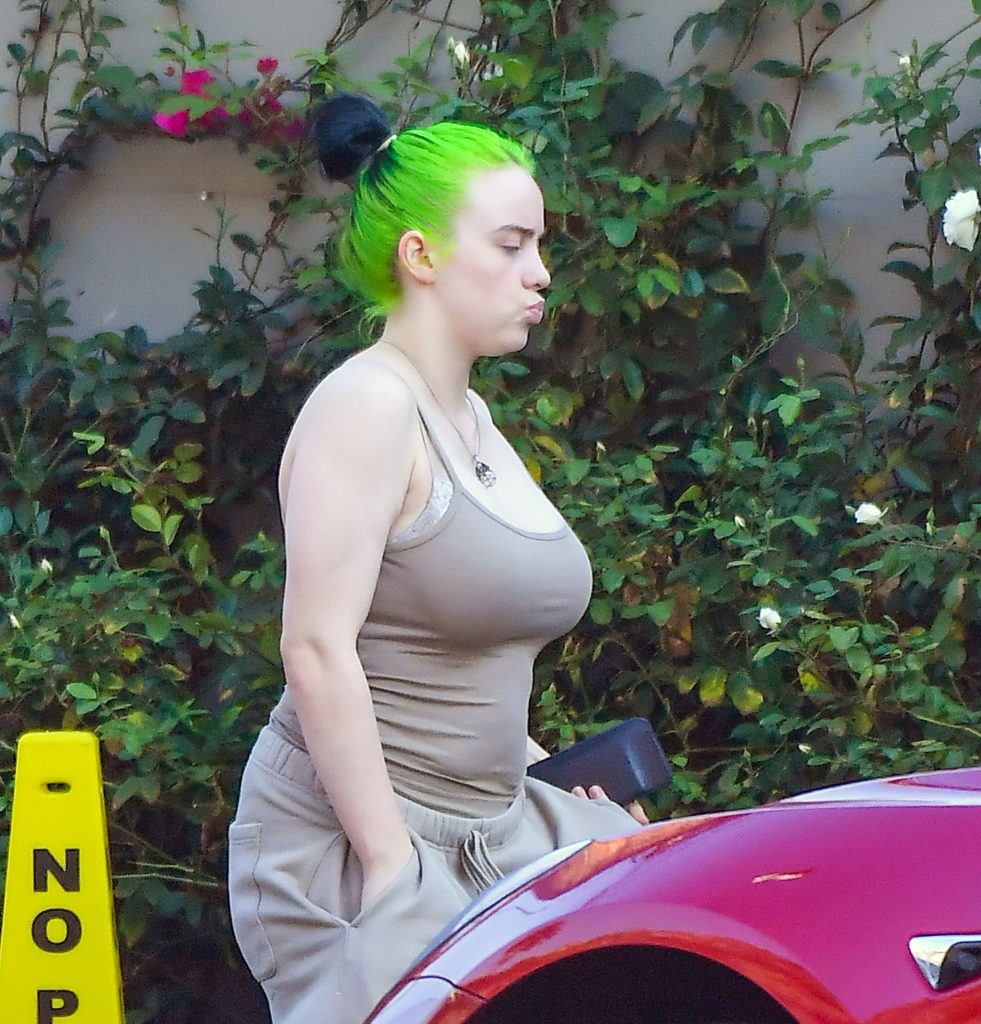 Thick Young Babe Billie Eilish Showing Her Ginormous Rack in HQ gallery, pic 10