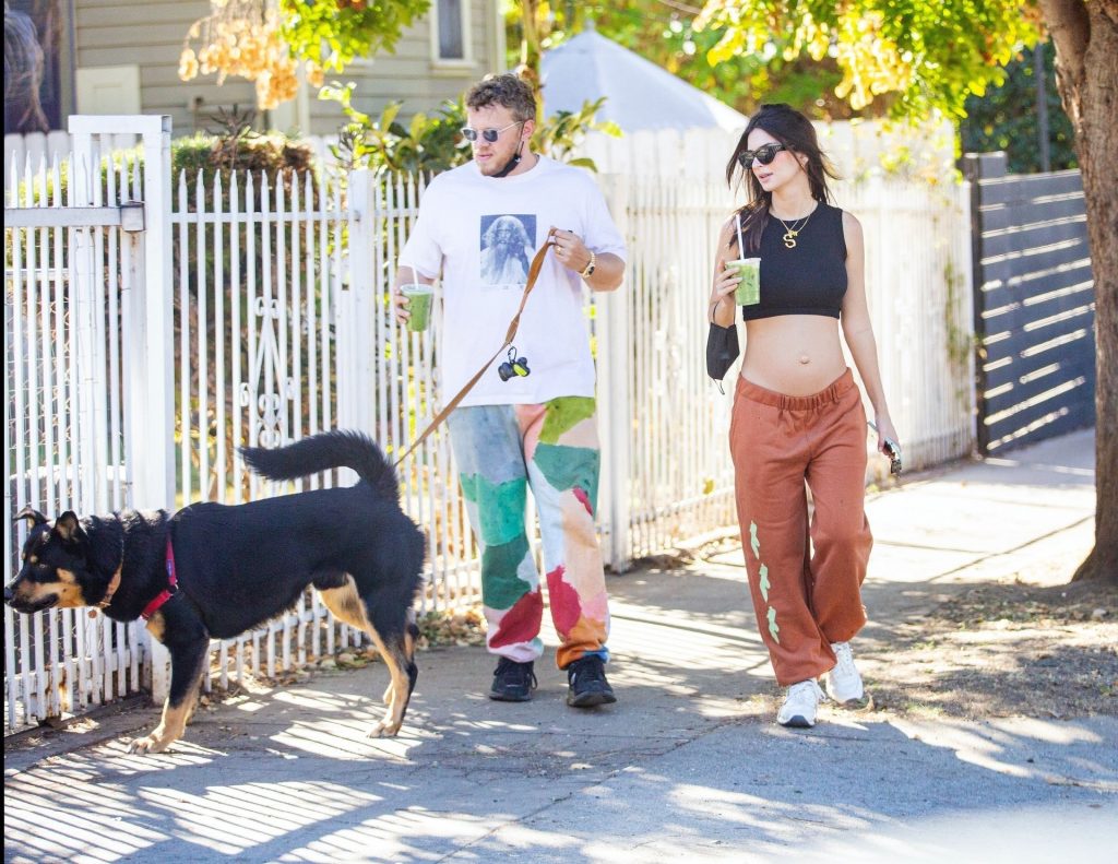 Emily Ratajkowski Hiking and Looking Really Cheery with Her Baby Bump on Display gallery, pic 22