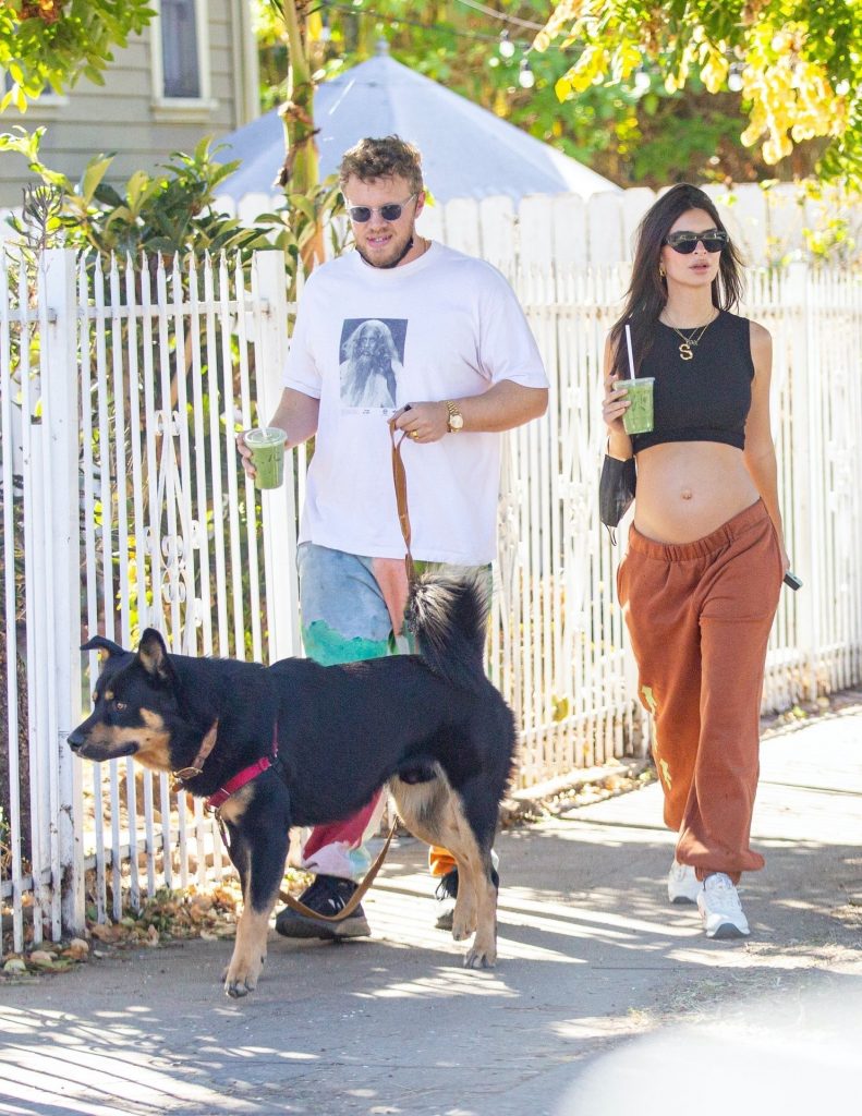 Emily Ratajkowski Hiking and Looking Really Cheery with Her Baby Bump on Display gallery, pic 24