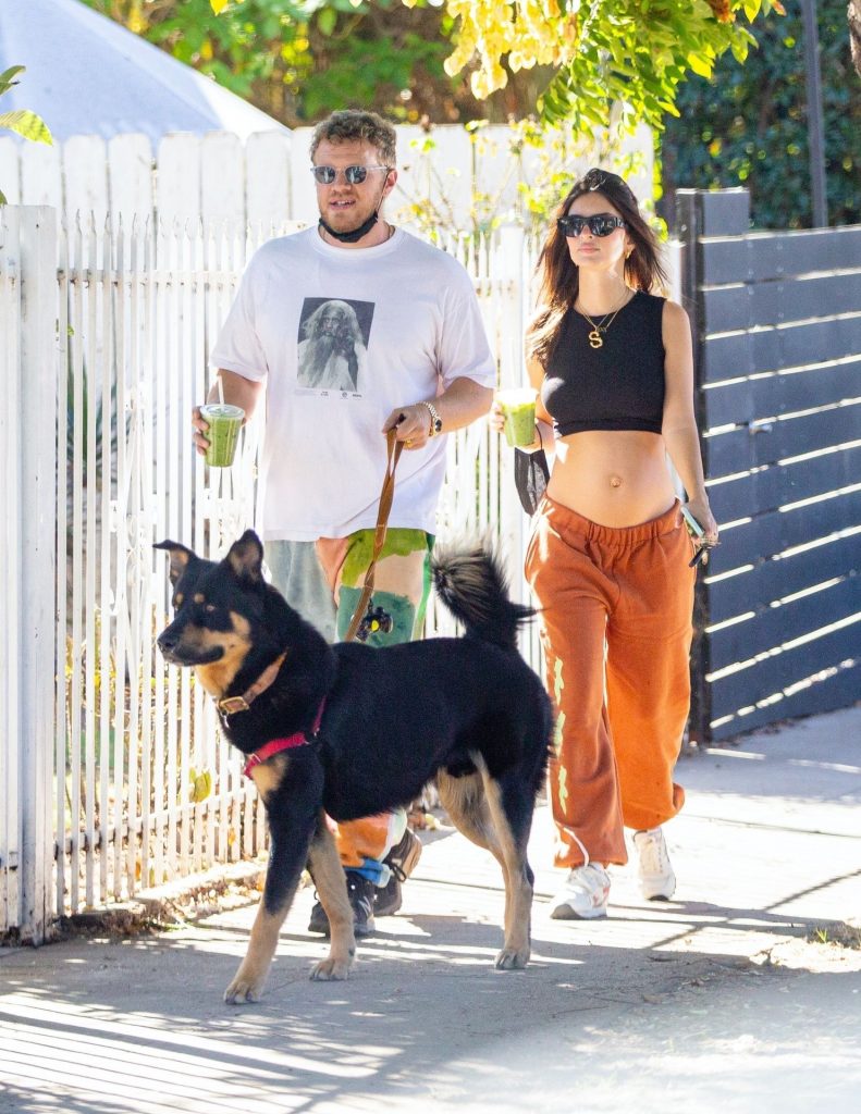 Emily Ratajkowski Hiking and Looking Really Cheery with Her Baby Bump on Display gallery, pic 30