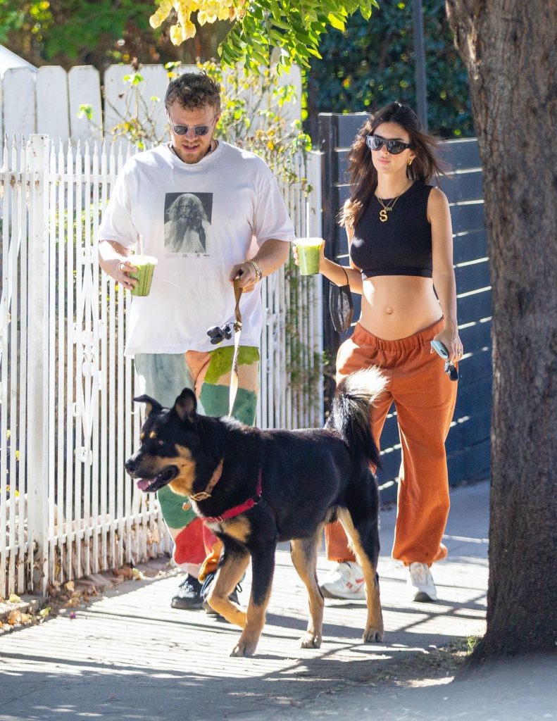 Emily Ratajkowski Hiking and Looking Really Cheery with Her Baby Bump on Display gallery, pic 40