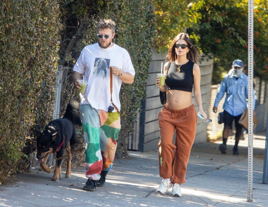 Emily Ratajkowski Hiking and Looking Really Cheery with Her Baby Bump on Display gallery, pic 72