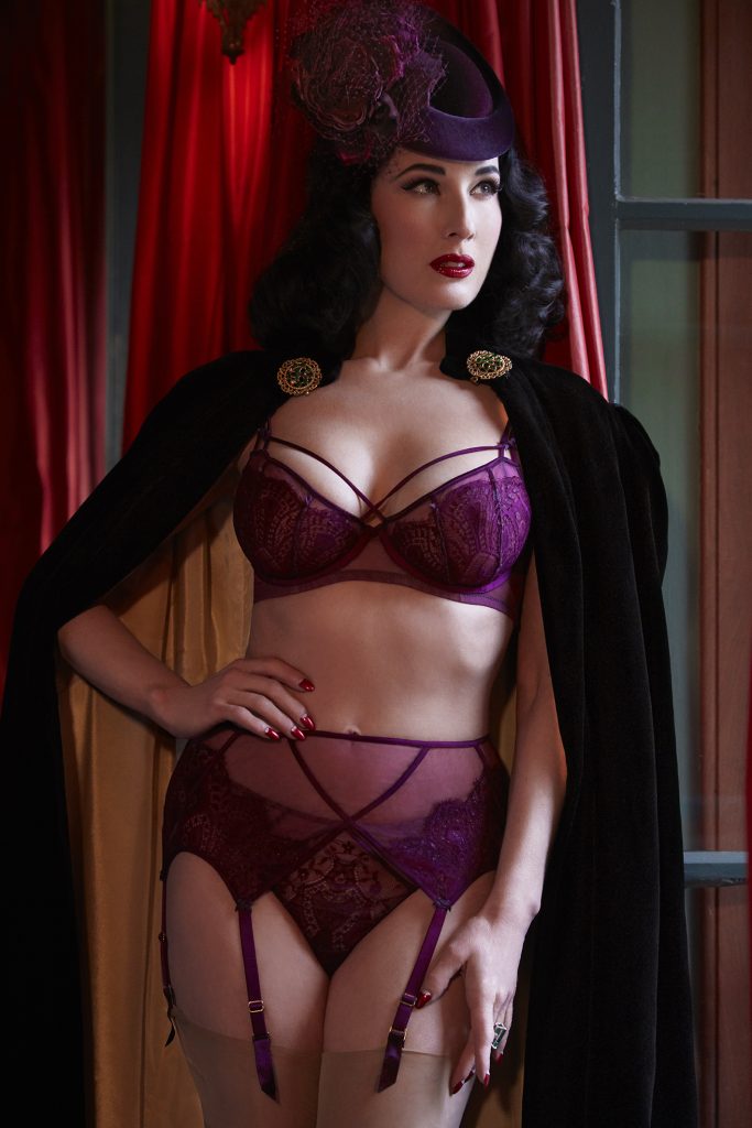Dita Von Teese Von Teasing You in the Skimpiest Lingerie Ever gallery, pic 6
