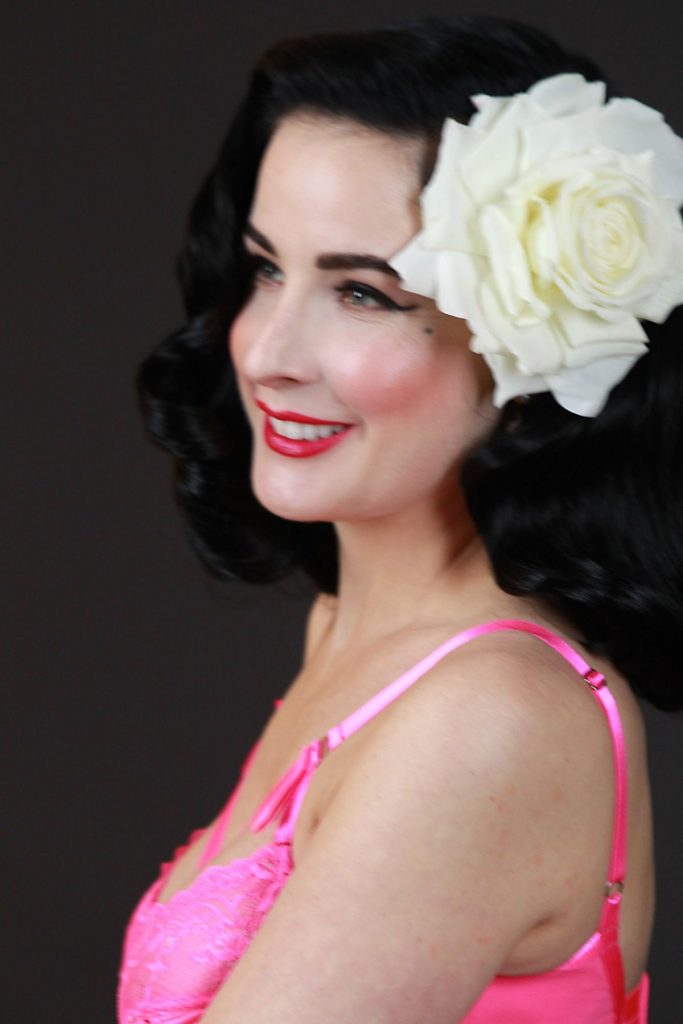 Small Collection of the Sexiest Dita Von Teese Pictures (Lingerie Only) gallery, pic 4