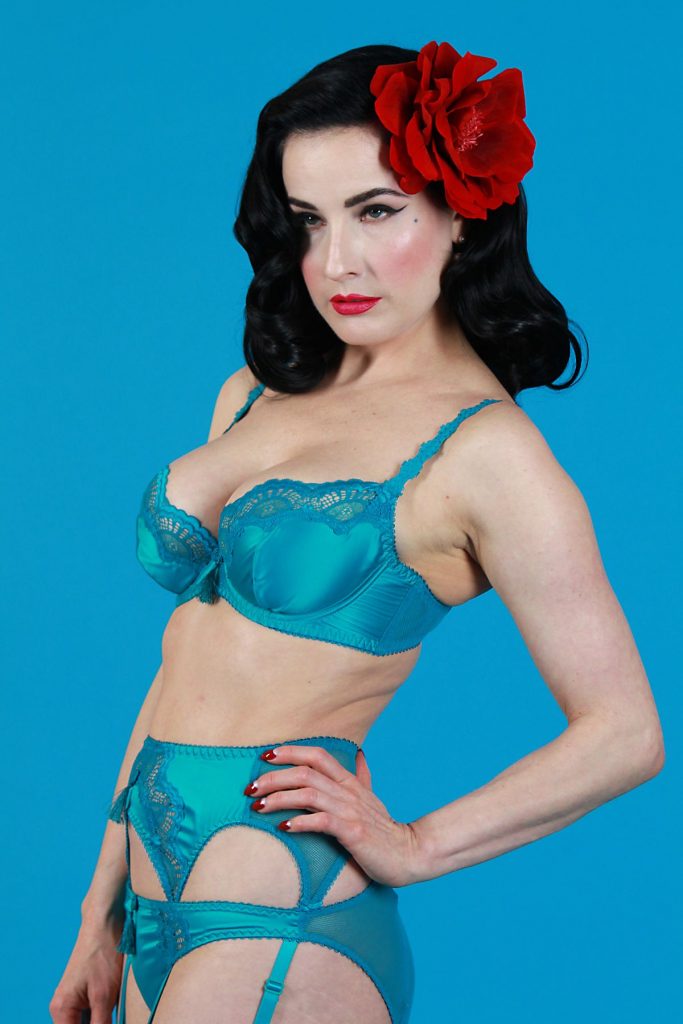 Small Collection of the Sexiest Dita Von Teese Pictures (Lingerie Only) gallery, pic 14