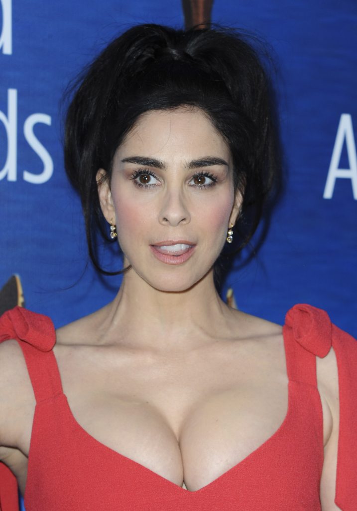 Sarah Silverman Big Boobs Pictures – Sexy Brunette Showing Her Large Breasts gallery, pic 24