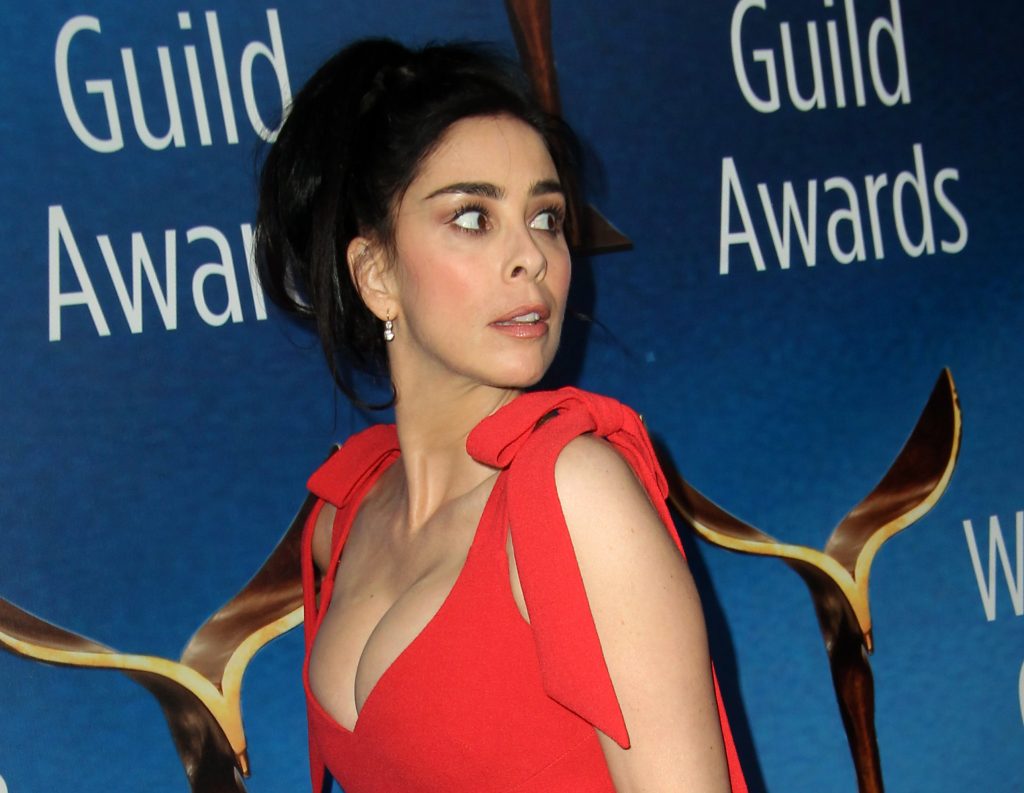 Sarah Silverman Big Boobs Pictures – Sexy Brunette Showing Her Large Breasts gallery, pic 44