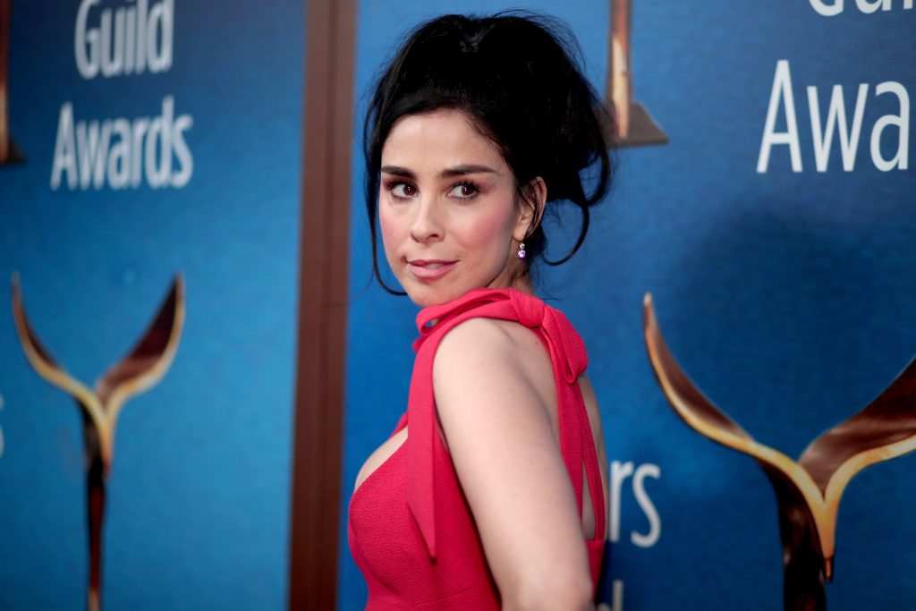 Sarah Silverman Big Boobs Pictures – Sexy Brunette Showing Her Large Breasts gallery, pic 48