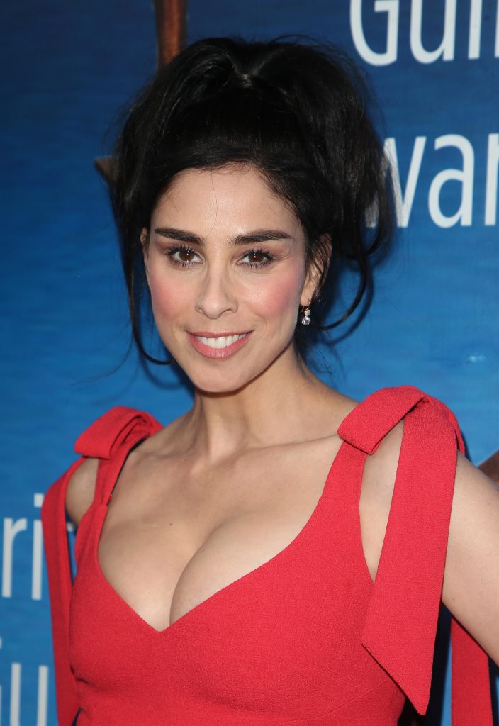 Sarah Silverman Big Boobs Pictures – Sexy Brunette Showing Her Large Breasts gallery, pic 10