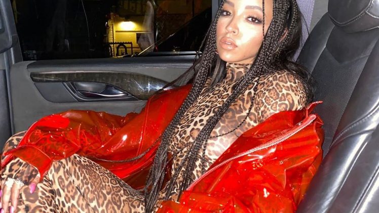 Daring Brunette Tinashe Puts on a Totally See-Through Outfit to Tease You
