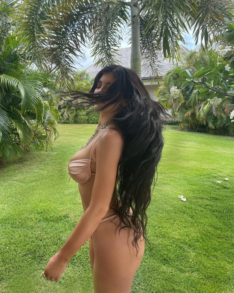 Assorted Collection of Kylie Jenner Pictures That Ooze Sexiness and Style gallery, pic 126