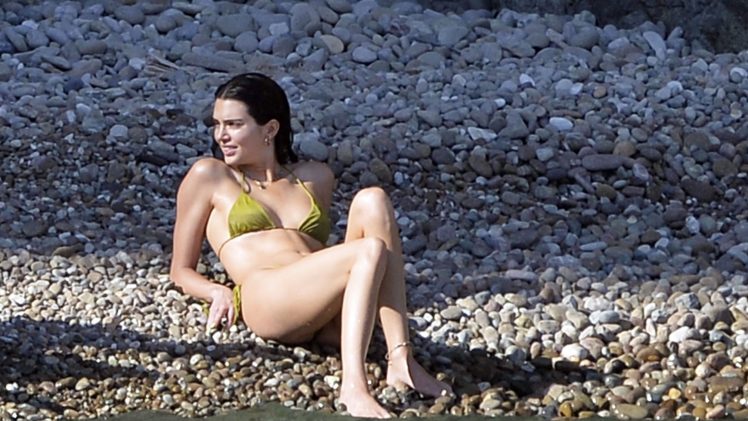 Lithe Brunette Kendall Jenner Shows Her Body in a Revealing Bikini