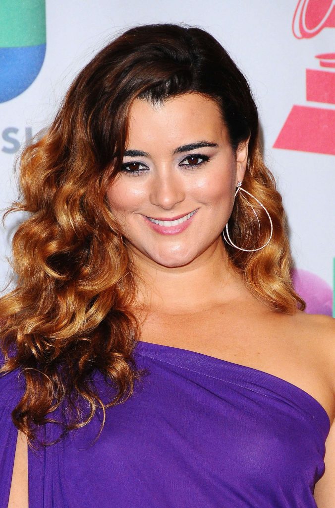 See-Through Pictures of Cote de Pablo to Make You Cum Like Mad gallery, pic 18