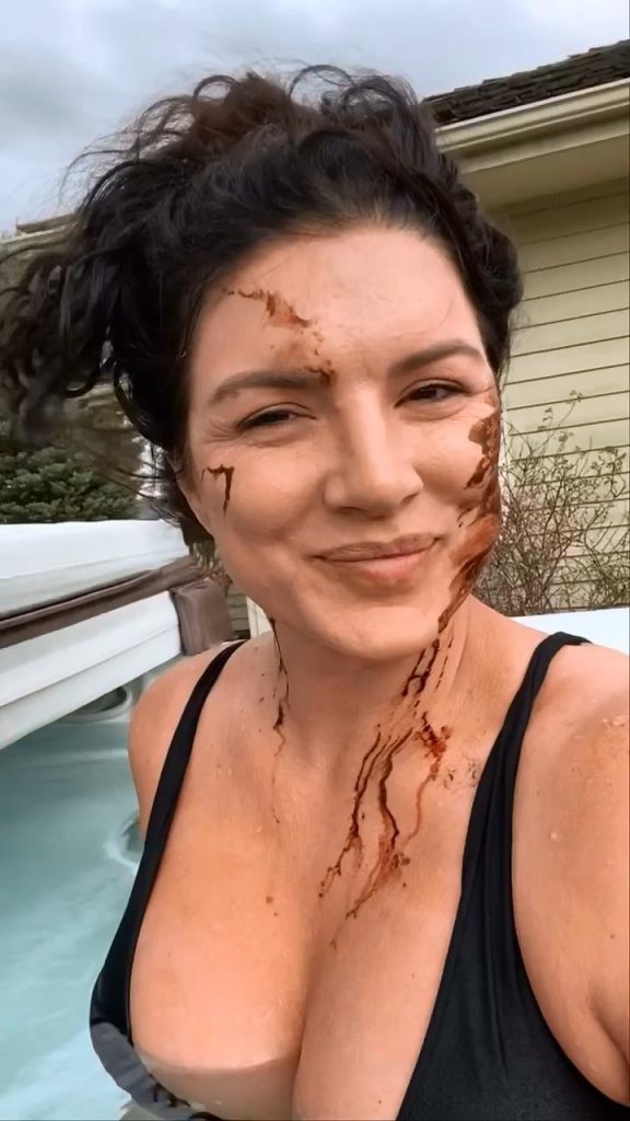 Fitness Icon Gina Carano Showing Her Large Cleavage on Social Media gallery, pic 4